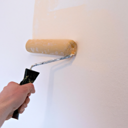 Décoration Murale Intérieure: Personnalisation de votre Espace de Vie Mayenne